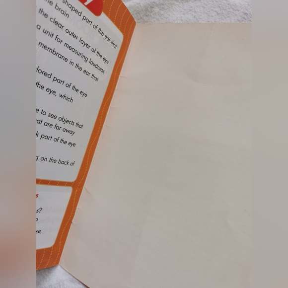 Scholastic Science Vocabulary Readers- Sunflower Life Cycle & Your Eyes and Ears - Picture 7 of 7